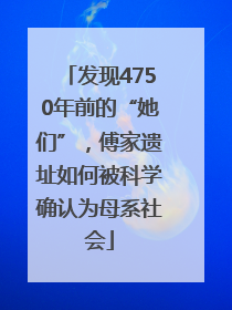 发现4750年前的“她们”，傅家遗址如何被科学确认为母系社会